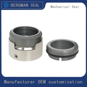 H7N H74 25mm-100mm G60 G4 G6 G9 G13 G16 BS Bo BP Pump Mechanical Seal