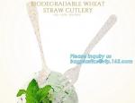 corn starch biodegradable disposable plastic cutlery,Disposable Biodegradable