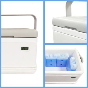 Buy cheap FS-8L 8L Ice Cooler Box with PU Foam Insulation and Ice Pack from wholesalers