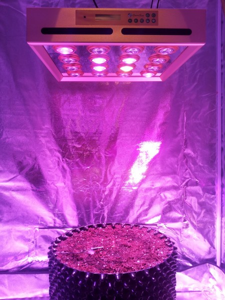 E.shine 5G 12-bands GrowSun 320W LED Grow Lights