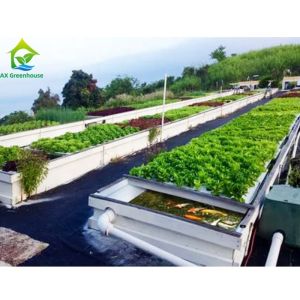 Buy cheap Tunnel Tomato Cooling System Multi Span Greenhouse Agriculture Commercial from wholesalers