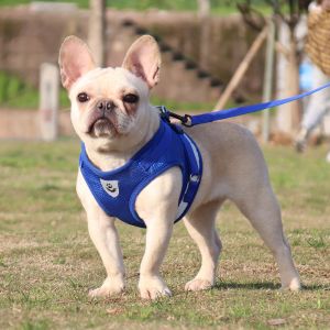 Polyester Mesh Breathable Pet Harness Vest Tensile Force Is Divided Evenly