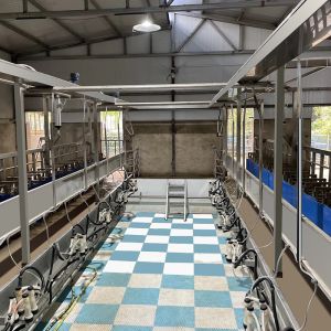 Buy cheap Sheep Parallel Fast Mode Milking Parlor Equipment Easy To Operate from wholesalers