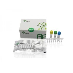 Buy cheap Stable PCR Isothermal Amplification Kit For Genetic Engineering from wholesalers