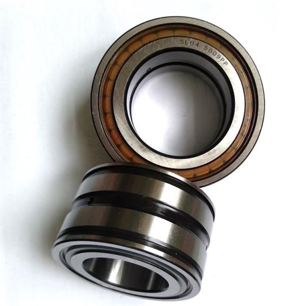Quality Full Complement Cylindrical Roller Bearings SL04 5010 PP for sale
