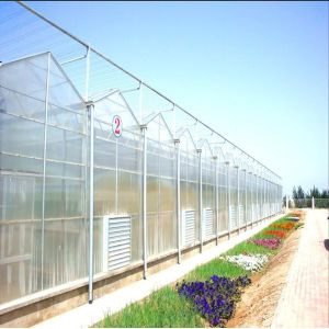 Buy cheap Intelligent Venlo - Type  Aluminum profile customized  polycarbonate  Greenhouse With Shading Systems product