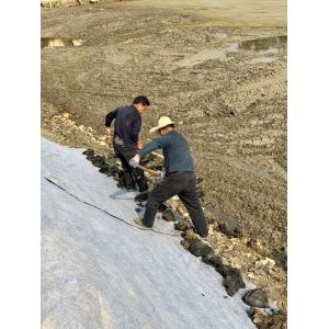 Buy cheap Length 20m 50m Cement Infused Geosynthetic Blanket Featuring Textile Fibers and Cement Powder Deploy Hydrate Harden for Robust Ground Reinforcement product