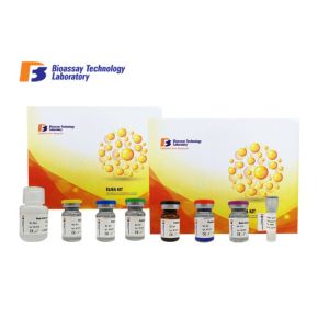Buy cheap OVA SIgE Mouse Immunoassays Test Kit High Precision 96 Wells Size from wholesalers
