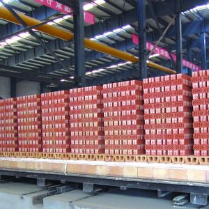 Buy cheap Red Hollow Brick Making Machine Customizable Clay Brick Manufacturing Plant from wholesalers