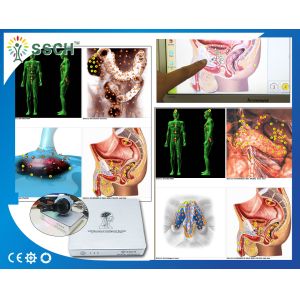 Buy cheap Body Analyzer Metatron NlS Hunter Version from wholesalers