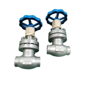 China LNG LO2 LN2 DN15 PN40 Stainless Steel Globe Valve on sale