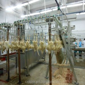 Buy cheap Chicken Plucking Machine Different Output Decided by Processing Demands from wholesalers