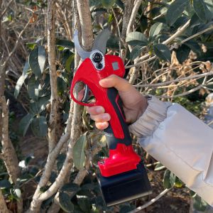Electric Pruning Shears 2 Battery Optional Extension Rod Vineyard Vines Power