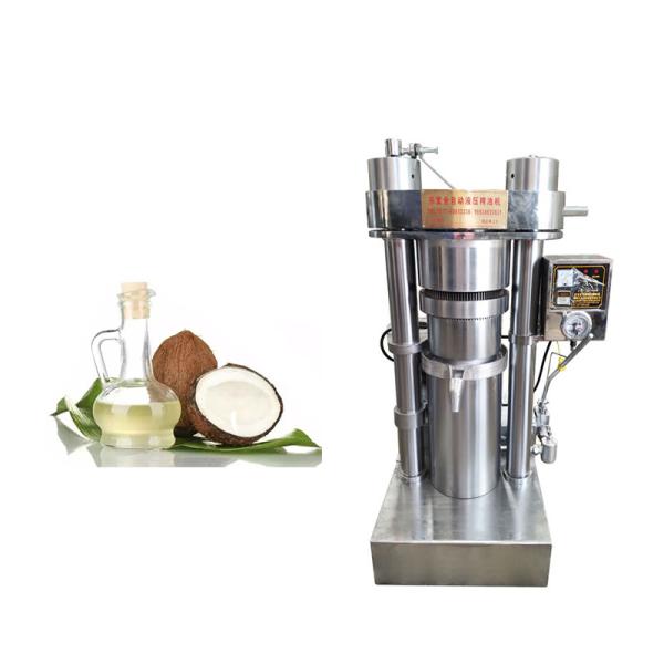 Quality Cold 4kg/Batch 1.1W 60Mpa Olive Oil Press Machine for sale