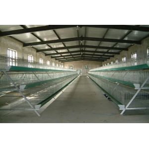 Factory Price Steel Structure Multi-Function Warehouse