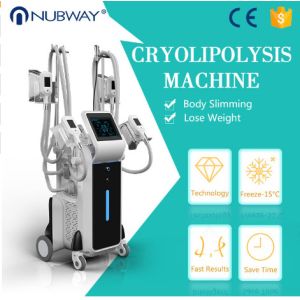 Buy cheap Factory price CE approved 4 cryo handles fat freezing weight loss cryolipolysis cool sculpting  machine from wholesalers