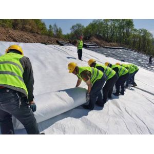 Buy cheap 3D Composite Plastic Drainage Network with Geocomposite Geonet and 5.9m Width from wholesalers
