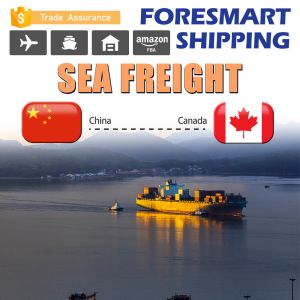 Buy cheap Ningbo China To Toronto Canada North America Freight from wholesalers