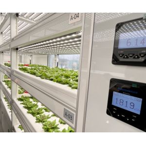 Container House for Leafy Vegetable Cultivation Hydroponics Cultivation