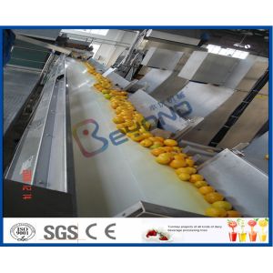 Orange Juice Factory Orange Juice Processing Plant With Juice Extraction
