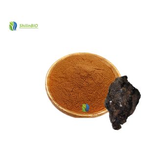 Food Grade Supplements Shilajit Extract 50% Fulvic Acid Powder