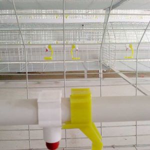 Custom Commercial Meat Chicken Cages, Durable Chick Breeding Cage