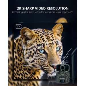 Buy cheap 4G cellular Trail Camera fast trigger 1-9 captures 32MP APP control solar panel hunting accessories from wholesalers