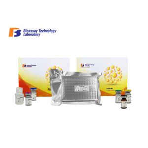 Buy cheap High Sensitivity and Specificity SHBG Human Sandwich ELISA Kit For Accurate Quantitative Detection from wholesalers