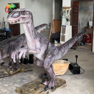 Buy cheap Realistic Sound Control Systems Animatronic Dinsoaur Simulatio Velociraptor For Exhibition from wholesalers