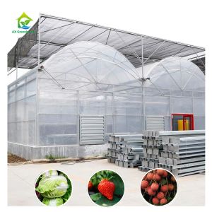 Horticultural Plastic Film UV Resistant Large Poly Tunnel Multi-span Greenhouse