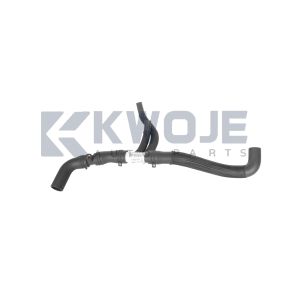 OEM F20-1303111 Auto Parts Water Inlet Hose Engine For Chery Jetour X90 Plus