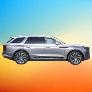 Buy cheap 2022 Hongqi Ehs9 China's top new energy vehicle Electric vehicle Hongqi EHS 9 E-HS9 Qiyue 7-seat version Spot sale from wholesalers