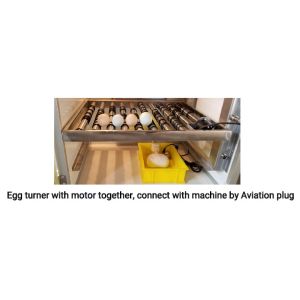 Buy cheap 40 Eggs Mini Commercial Goose Egg Incubators With Automatic Turner Hen Hatching Machine from wholesalers