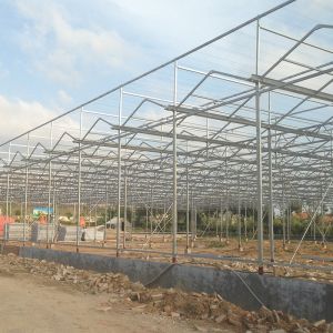 Buy cheap Advanced Multi-Span Hydrophonic Greenhouse for Commercial Supply Gutter Height 3m-6m from wholesalers