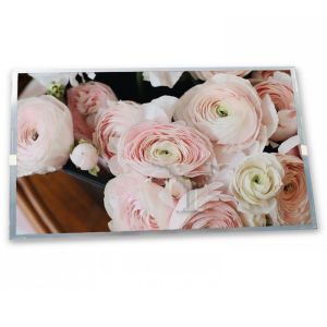 Buy cheap C080SW46-0 Online One-stop Shopping 8 Inch Pad & Tablet 1200*1920 in Stock Lcd Module Display from wholesalers