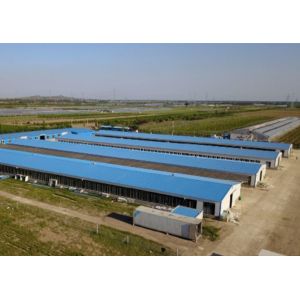 Buy cheap Galvanized Steel Structure Poultry House Windproof Steel Chicken House from wholesalers