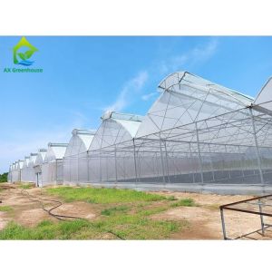 Buy cheap Multi Span Aluminum Tunnel Greenhouse for Flowers Vegetables Plant from wholesalers