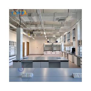 Customizable Lab Island Bench for Laboratories with High Standards and