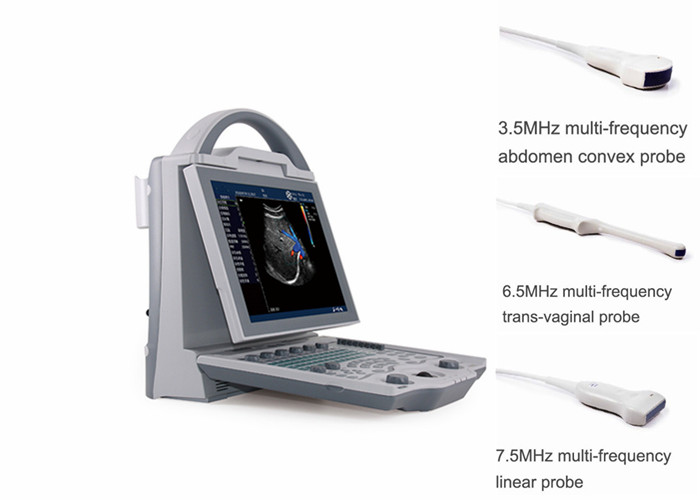 Quality Portable Pregnancy Ultrasound Scanner with Abdominal Convex Transvaginal Transducers for sale Buy cheap Portable Pregnancy Ultrasound Scanner with Abdominal Convex Transvaginal Transducers product