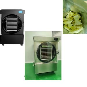 Buy cheap Advanced 24-30 Hours Freeze Dry Cycle Home Freeze Dryer Machine from wholesalers