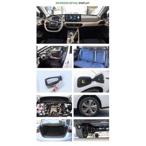 Buy cheap Geely Geometry A C2023 100% Electric Sedans 5 SEATS 53Kwh from wholesalers