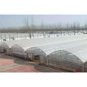 Agriculture Hail Protection Netting For Vegetable Greenhouse Tunnel Farming