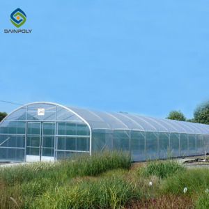 Buy cheap 10m × 12m Plastic Single Tunnel Greenhouse For Growing Vegetables from wholesalers