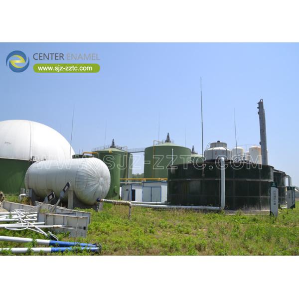 Aluminum Roof CSTR Reactor For Czech Republic Biogas Project Step Toward