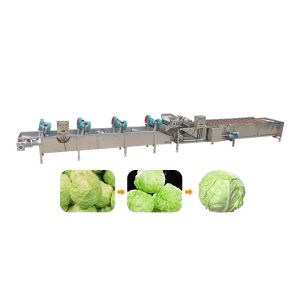 carrots 10.1kw 1500kg/h SS304 Vegetable Dryer Machine