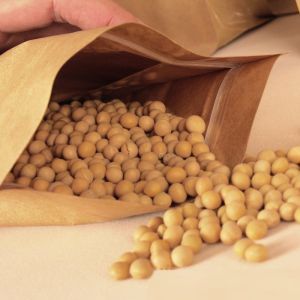 Flat Bottom Aluminized 850g Kraft Paper Zipper Bag