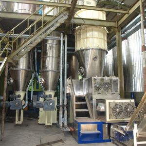 Saponification And Vacuum Drying System For Soap Noodle Processing