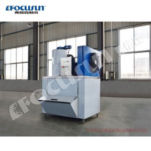 Bitzer Compressor 1000KG Ice Shape Hielo en Escama Machine for Seafood