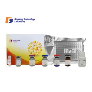 Buy cheap Customized This sandwich kit is High Precision Laboratory Research Rat Glial Fibrillary Acidic Protein ELISA Assay Kit from wholesalers