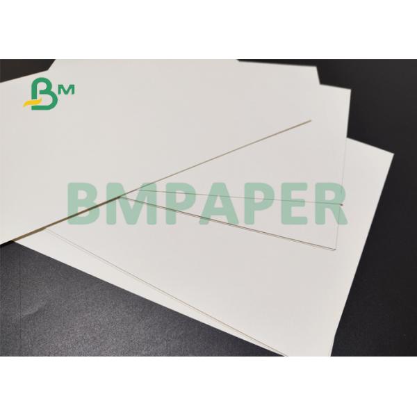 190gsm +15g PE Paper Cup Bottom Roll For Coffee Shop 2.95inches Waterproof